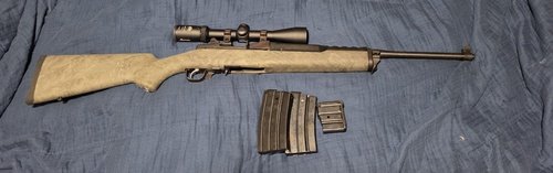 Ruger mini 14 fs ft