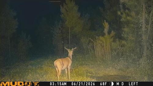 Looking for double barrels 