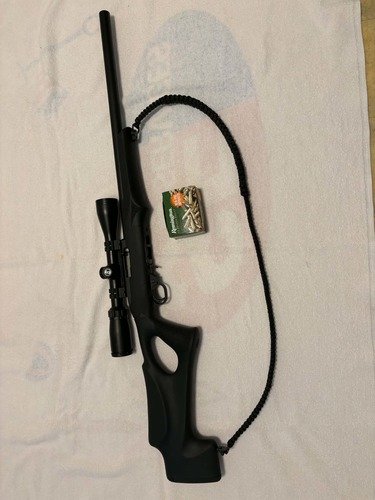 Ruger 10-22