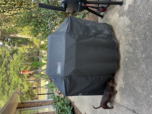 Weber Spirit Gas Grill