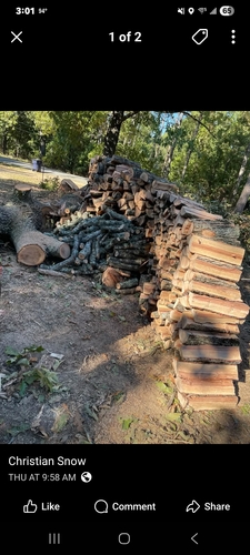 Firewood