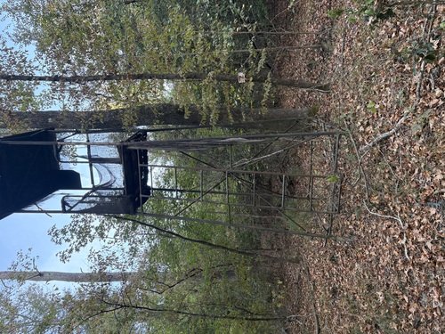 Deer Stand