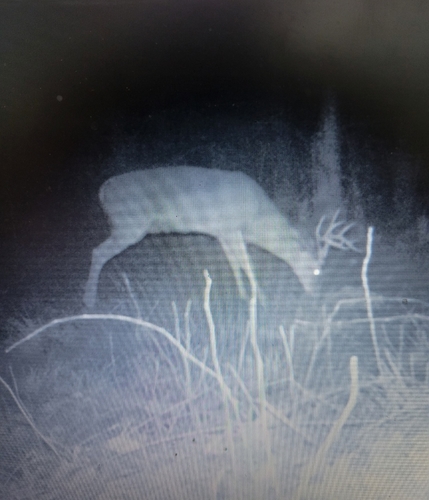 Hunting lease