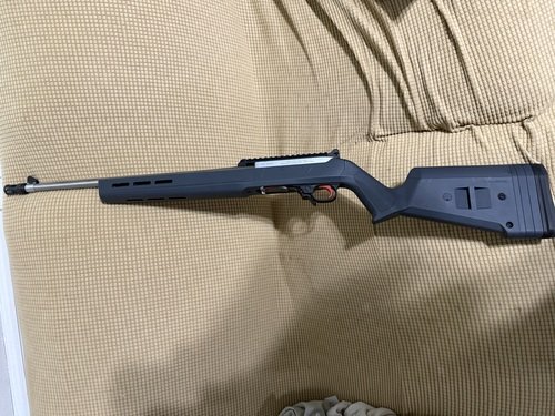 Ruger 10-22 