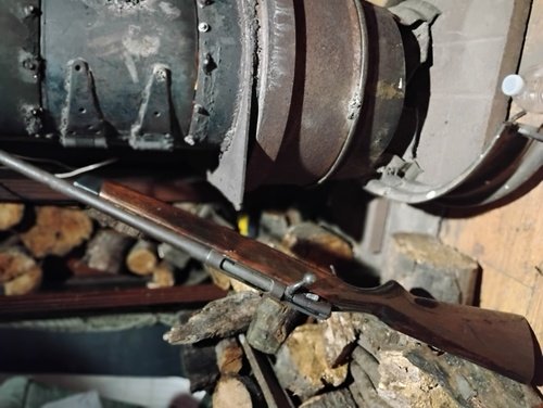 1930s Bolt action J c Higgins  20g