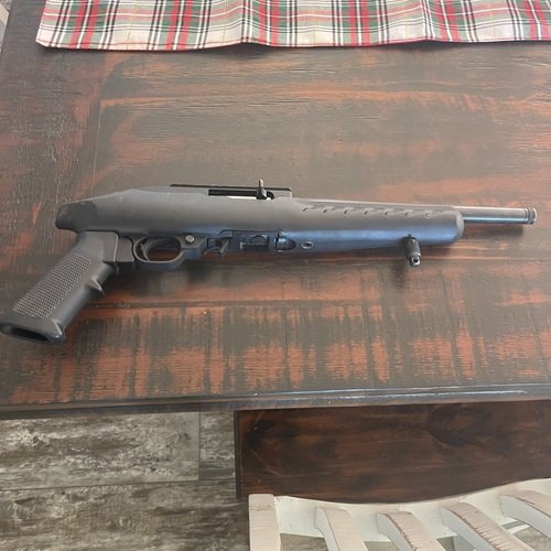 Ruger 10-22 challenger 