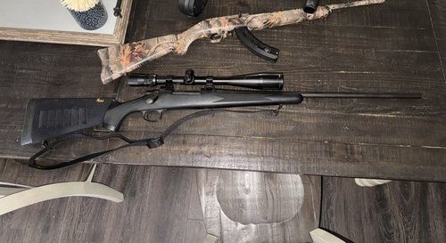 Remington 700 7 mag with bushnell 
