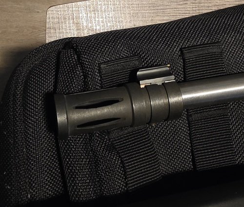 Ruger 10/22 takedown