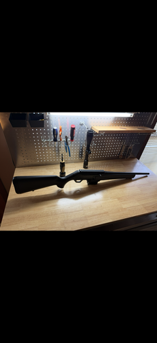 Browning BAR DBM 308
