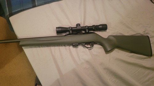 Remington mod.597 .22 cal.Rifle
