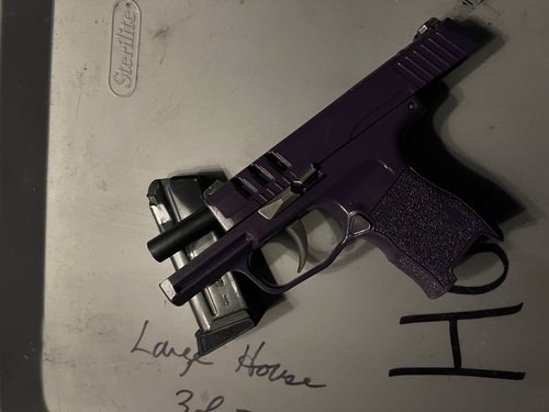 .380 acp sig p365