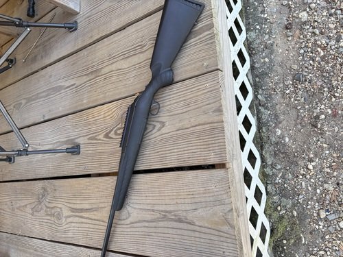 Ruger American 270