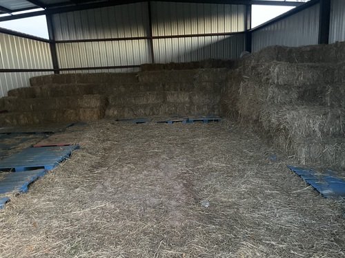 Square hay