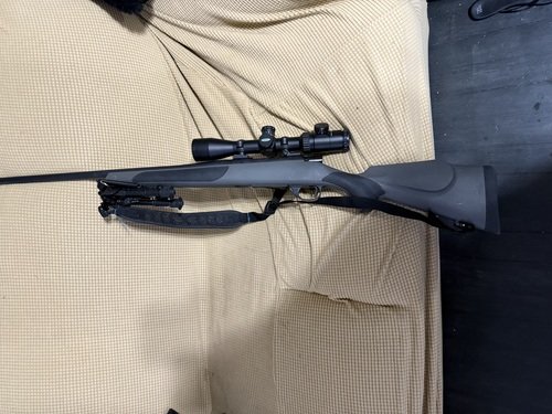 Weatherby vanguard 22-250