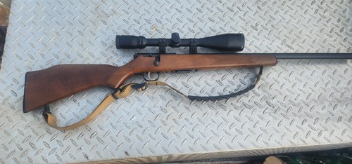 Savage 17hmr 