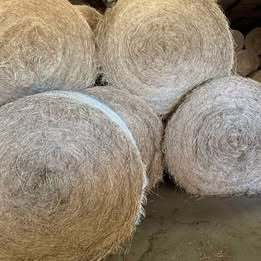 Hay -  horse quality