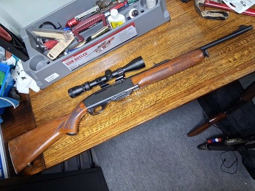 Remington 742 308 carbine