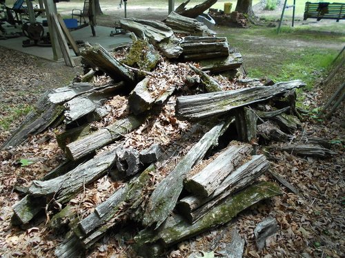 Pine kindling 