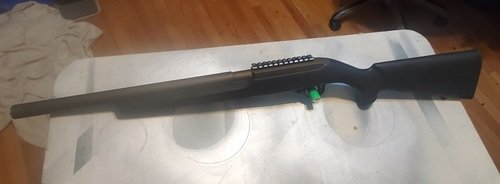 Ruger 10/22 For Sale 