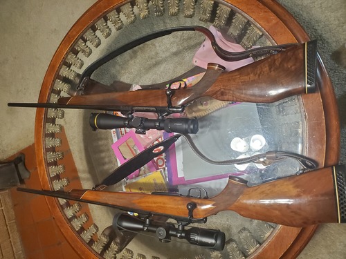 Colt Sauer rifles 