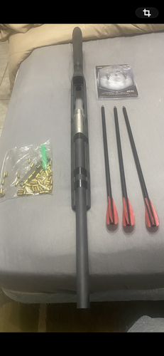 Ruger 10/22 arrow gun