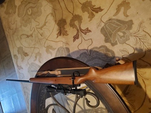 Weatherby 25-06