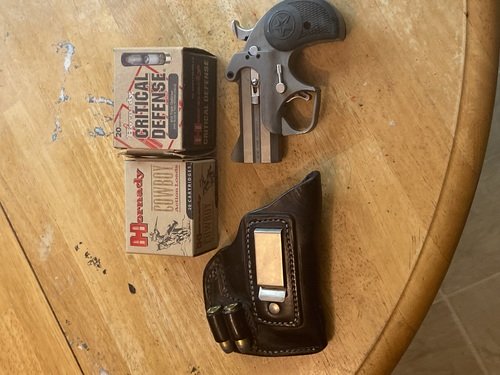 Gun