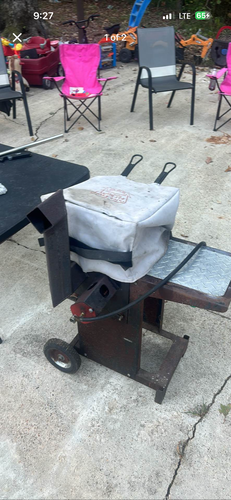Fish fryer