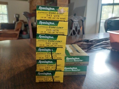 Remington 243 Ammo