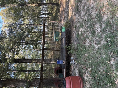 Garmin tracking train Owen’s box dog pens