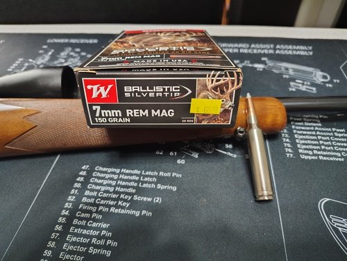 Ruger M-77 (Hawkeye)