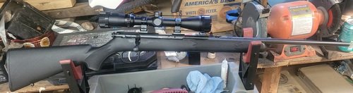 Savage bolt action 22 w/ 2 mags 100rds 