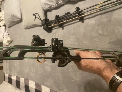 Elite Compound Bow