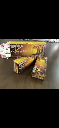 300 WSM ammo