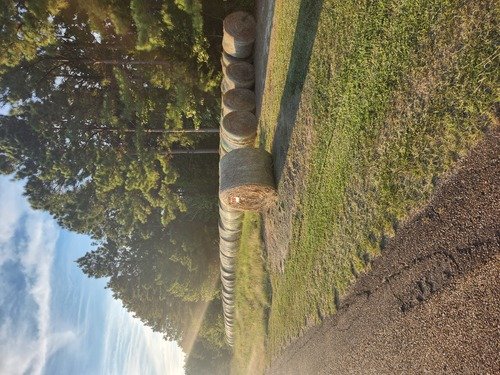 4' X 5' rolls of hay