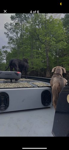 Package Deal: 1994 Skeeter, 2020 Polaris Razor 1000, & 1998 Coleman Pop-Up Camper