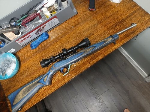 Ruger Custom 10/22