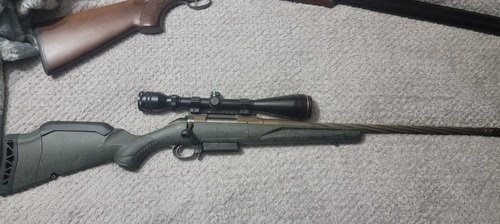 American Ruger Predator 