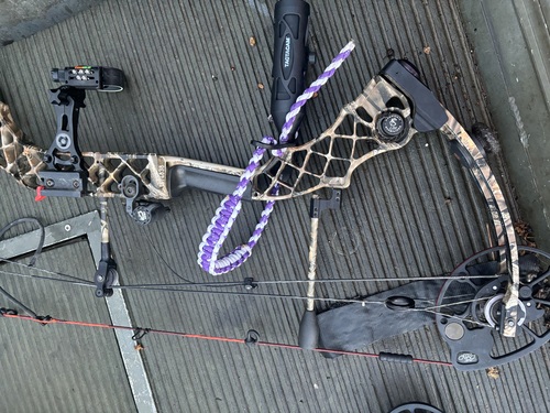Mathews bow
