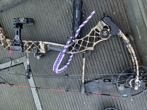 Mathews bow