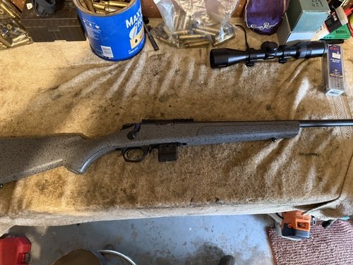 Bergara 22lr Bolt