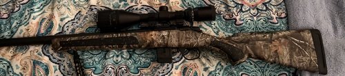 Bergara 17 hmr 