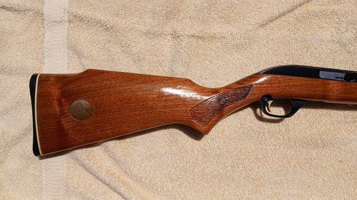 Marlin model 990 22LR Ducks Unlimited