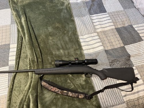 Ruger 308 