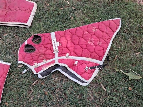 Horse Blankets 