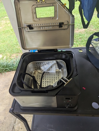 Electric fish fryer 