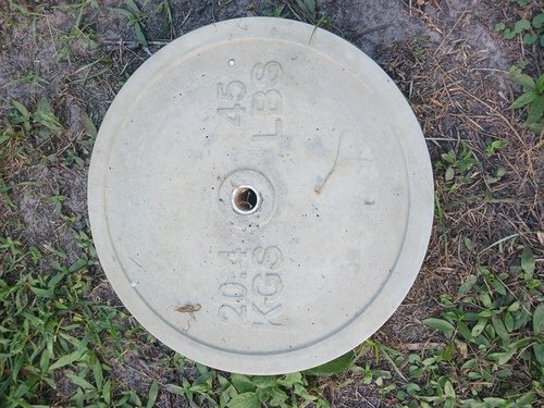 2 45 pound weight plates. 