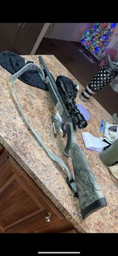 Muzzleloaders