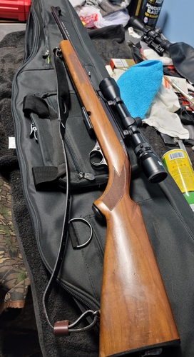 Model 100 Winchester in .308