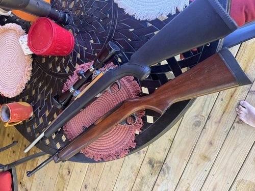 Ruger m77/44